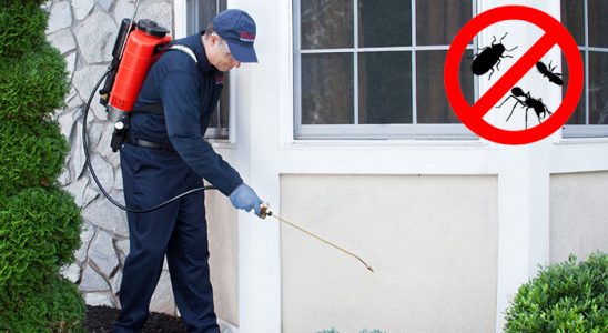 Köşk Haşere İlaçlama böcek ilaçlama ve haşere kontrolü — ilaclama-tr.com